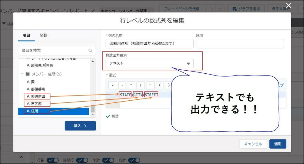 レポートの行レベルの数式では テキスト が使える Gilde Tech For Salesforce